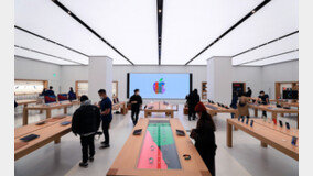 애플, 한국서 12년만의 감사보고서 공시…국내 연매출 7조원