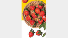 딸기 가격 30% 급등에…딸기 음료·케이크 가격 줄줄이 인상