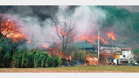 산불, 여의도면적 46배 규모 번져 2000년 이후 최대 피해
