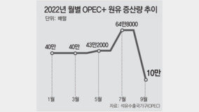 OPEC+ ?? ?? ?? ??… “???, ???? ? ?? ?”