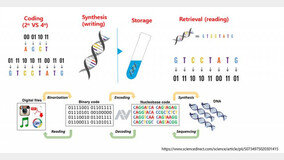 [??? ???? 2022] ?????? “?? ??? DNA ???? ?? ??”