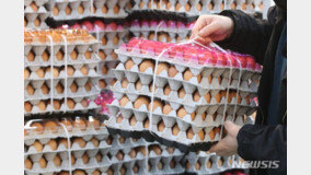 스페인산 계란 15일 공급…설 대비 비축계란 1500만개 방출
