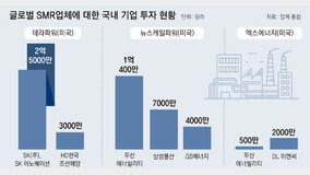 “2035년 650조, SMR 시장 잡아라”… 민관합동 얼라이언스 떴다