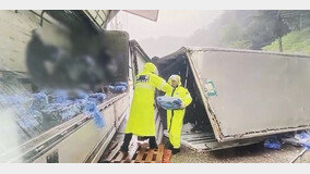 폭우속 도로에 쏟아진 냉동 복어…배추트럭 빌려 운송 도와준 경찰