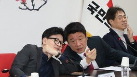 민주-국힘, 위성정당 창당 ‘속도’…양당 주도 이합집산
