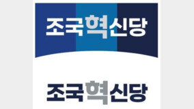 조국신당 당명은 ‘조국혁신당’…“당색은 광주 하늘 상징”