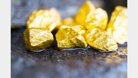 영국서 들판 뒤지다 금덩어리 발견…최고 6700만원 추정