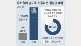 유치원비, 정부지원 외 月17만원 더 쓴다