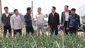 강호동 농협중앙회장, 함양 양파농가 방문