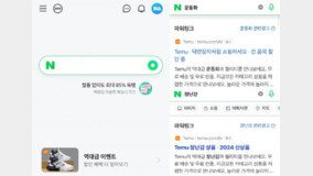 ‘네이버 배너에 뜨는’ 中테무, 韓마케팅 본격화…“짝퉁·품질 논란 여전”