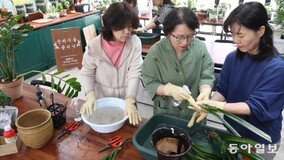 “반려식물 아플 땐 병원에 맡기세요”