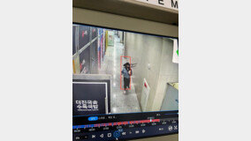 인천 송도서 루이비통 가방 들고 튄 30대 여성 잡혔다