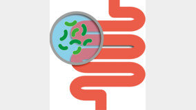 하루 5분 햇빛 쐬니… 암 이기는 장내 미생물 늘어