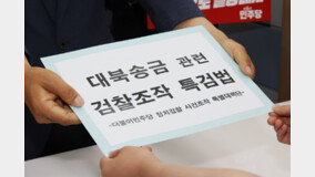 대검, ‘대북송금 특검법’에 “형사사법 제도 흔드는 입법권 남용”