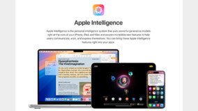 애플, 오픈AI와 밀월 시각에 선긋기··· '제 길 가는 애플 인텔리전스'