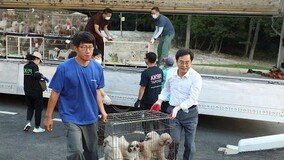 김동연, 화성시 개 번식장서 ‘학대 동물’ 1410마리 구출