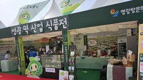 영광군 농업기술센터, ‘영광 모싯잎떡’ 홍보 매진