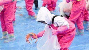 [2026 대표브랜드대상]풍부한 미네랄, 담백한 맛과 향이 일품인 영덕대게
