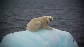 온난화로 전세계 시간 ‘1초’ 빨라져… 녹아내린 빙하, ‘이것’에 영향 준다