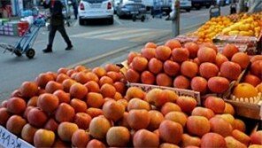 정부 물가안정 대책 통했나…사과·배 소매가격 하락 전환