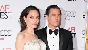 Brad Pitt and Angelina Jolie End 8-Year Divorce [DA:Hollywood]