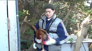 Oh Sang-wook, startled by wild chicken… even the caught chicken was lost ‘Major accident’ (Thank goodness)