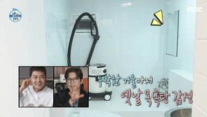 Vivarium room → Sauna… Kim Dae-ho, house revealed (I live alone) [TV comprehensive]