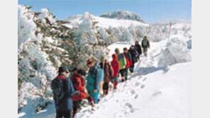 ［여행］가자！  눈꽃나라  한라산으로