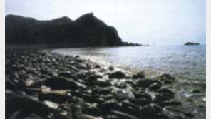 ［여행／인천－군산권  섬］덕적도  해당화에  마음  『푸근』