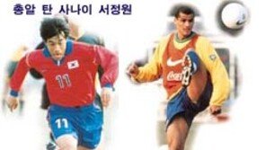 [축구]28일 韓­브라질戰…서정원­히바우두 정면충돌