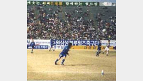 [프로축구]수원-안양 봄맞이 '골 퍼레이드'