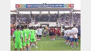 [축구/유소년남해대회]축구 '꿈나무'들의 잔치
