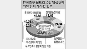 [축구]“유소년 축구 활성화 해라” 40% 응답