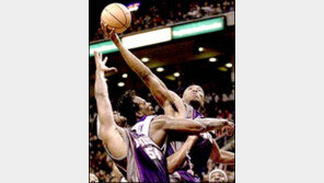 [NBA]피닉스 ＂독불장군보다 팀 워크＂