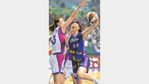 [여자농구]신세계 ＂겨울도 내세상＂…삼성생명에 대승