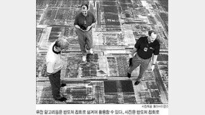 [과학]'외판원 순회 난제' 국내 과학자 풀어