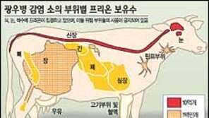 [음식]＂수입 소혈분 대부분 물고기 사료 사용＂