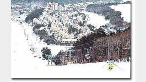 [스키]스키장 폐장기 모습 ＂가는 겨울 아쉬워…＂