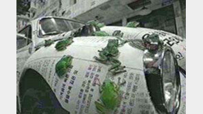 [CF와 놀아나다]새 TTL, 여전히 신비롭다