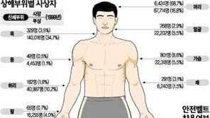 [교통문화도 월드컵시대]운전자 절반 안전벨트 안맨다