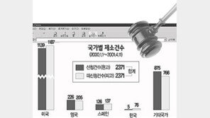 [이슈추적]도메인 국제분쟁 한국만 멍든다