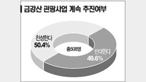 [텔레서베이]금강산사업 지속 찬반 팽팽