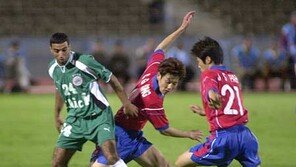 [축구포토]'히딩크 사단' 첫 우승