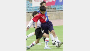 [축구포토]＂2010년 월드컵은 내게 맡겨라＂