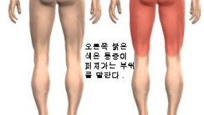 [美프로야구]박찬호 부상 'Lower Back' 이란?