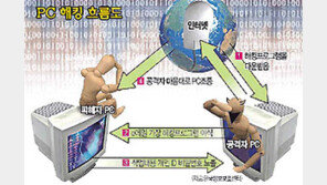 [인터넷]＂앗!내 ID가 해커손에＂,개인PC 해킹피해 확산...보안관리 '이것만은 꼭'