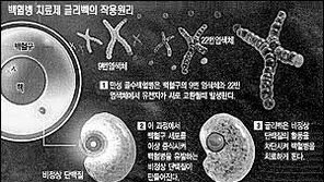 [일반건강]미국 학회 보고 차세대 암 치료법