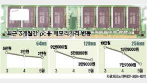 [컴퓨터]PC메모리 지금 바꾸세요