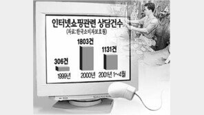 [인터넷 쇼핑몰 문제점]배송지연-품질시비 등 여전