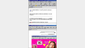 [인터넷]해외 인터넷 성인방송 차단 실효없다